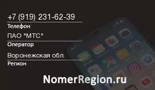 Кто звонил с 9192316239 - регион и оператор